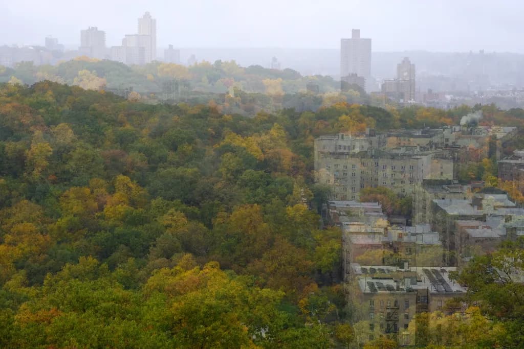 Autumn Cityscape Blur