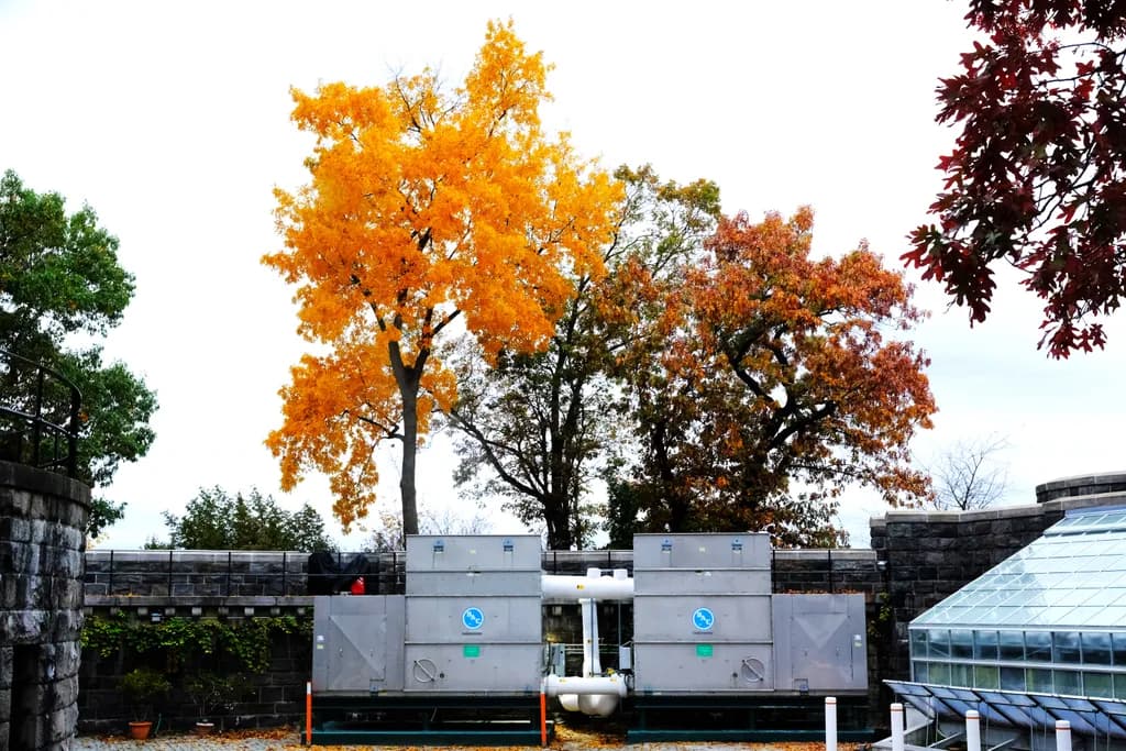 Autumn Trees and Equipment