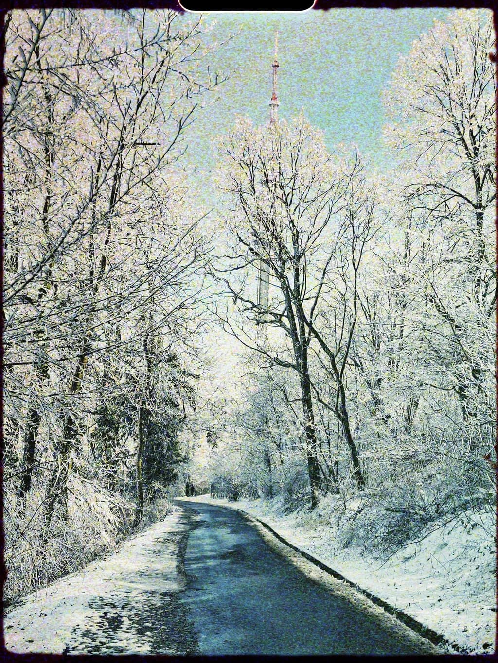 Frosted Pathway