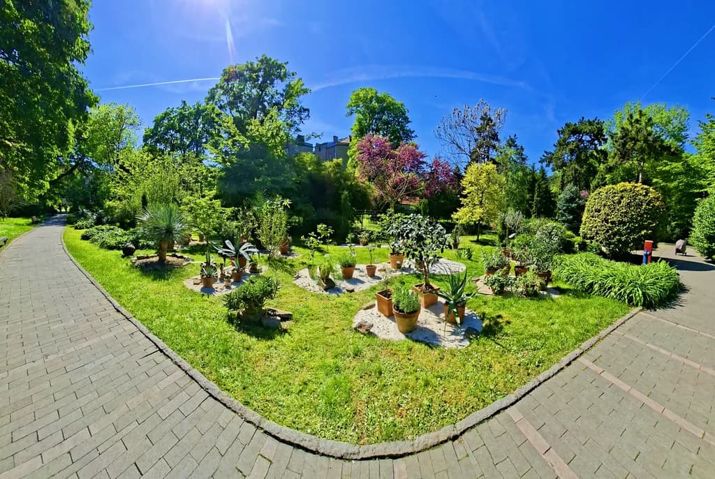 Urban Garden Haven