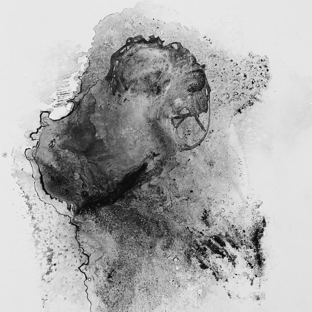Fading Echoes