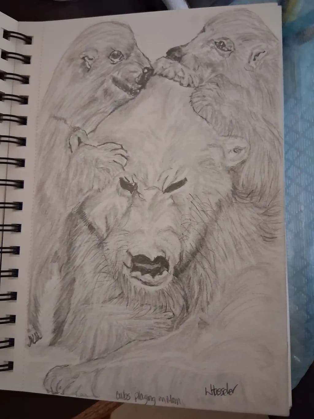 Lion Cubs Playtime