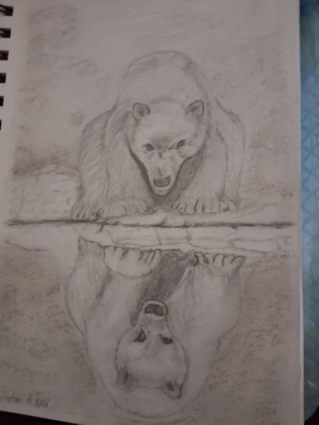 Bear Reflection