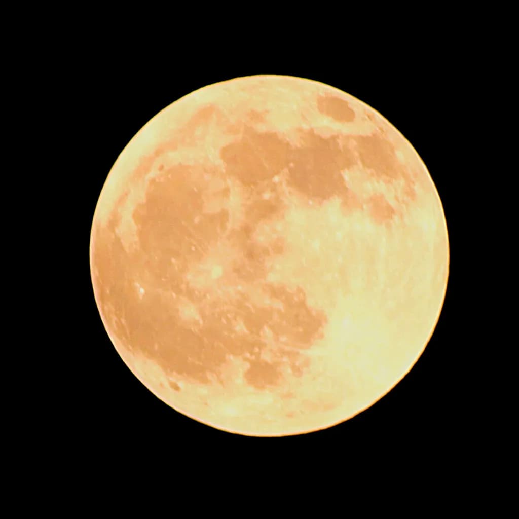 Harvest Moon