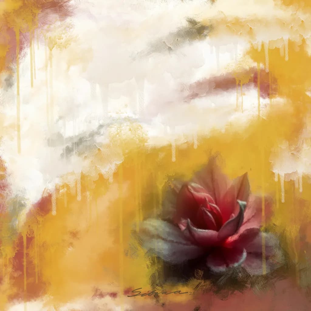 Bloom