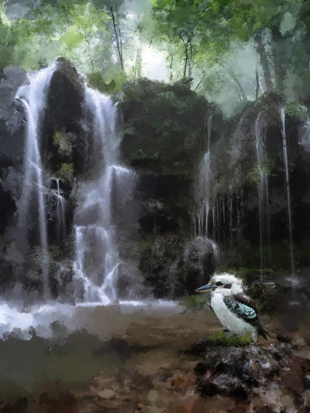 Waterfall & Kookaburra