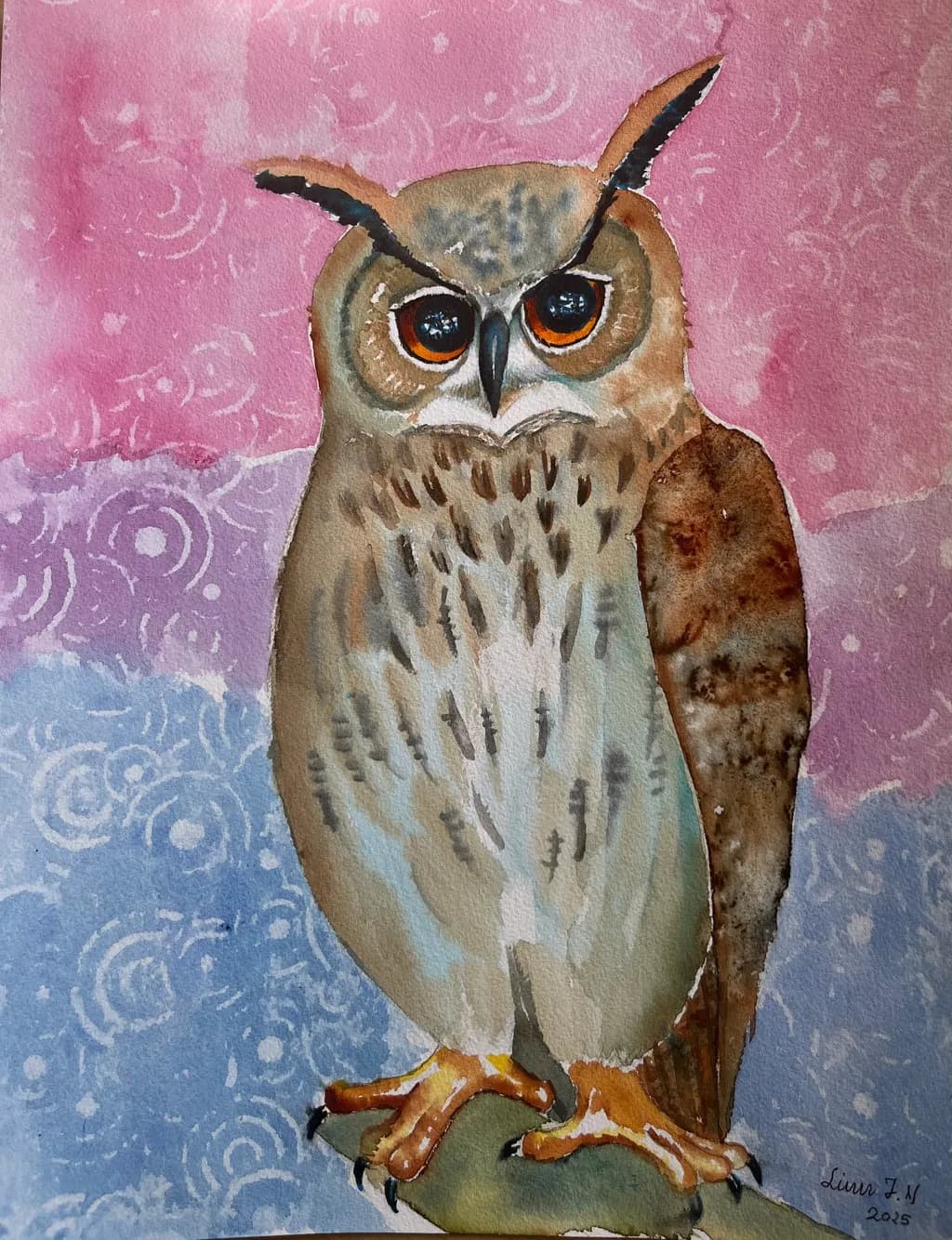 Watchful Gaze