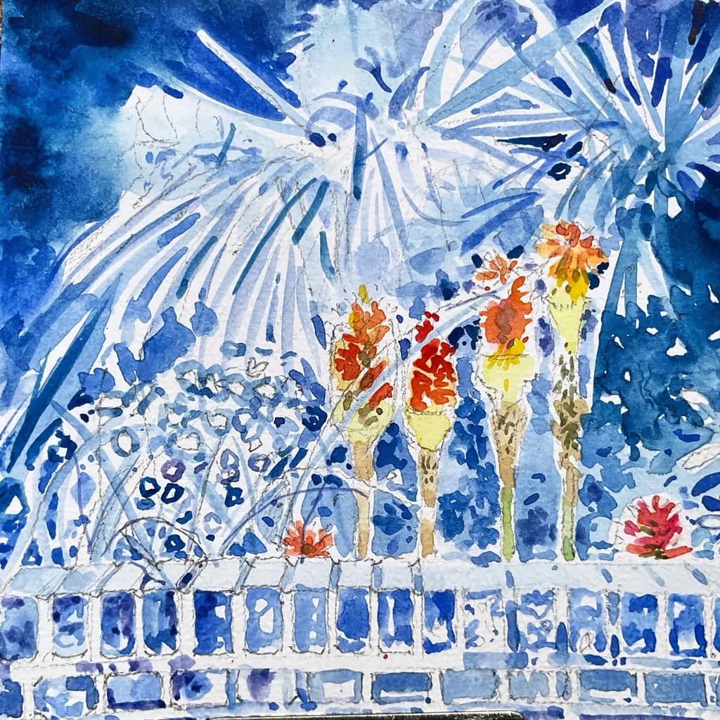 “My Neighbour’s Red Hot Pokers” 