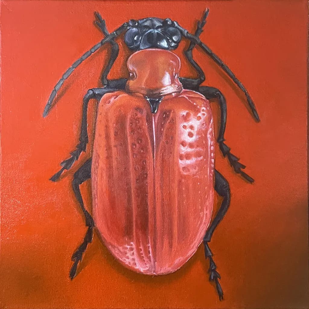 RED BUG