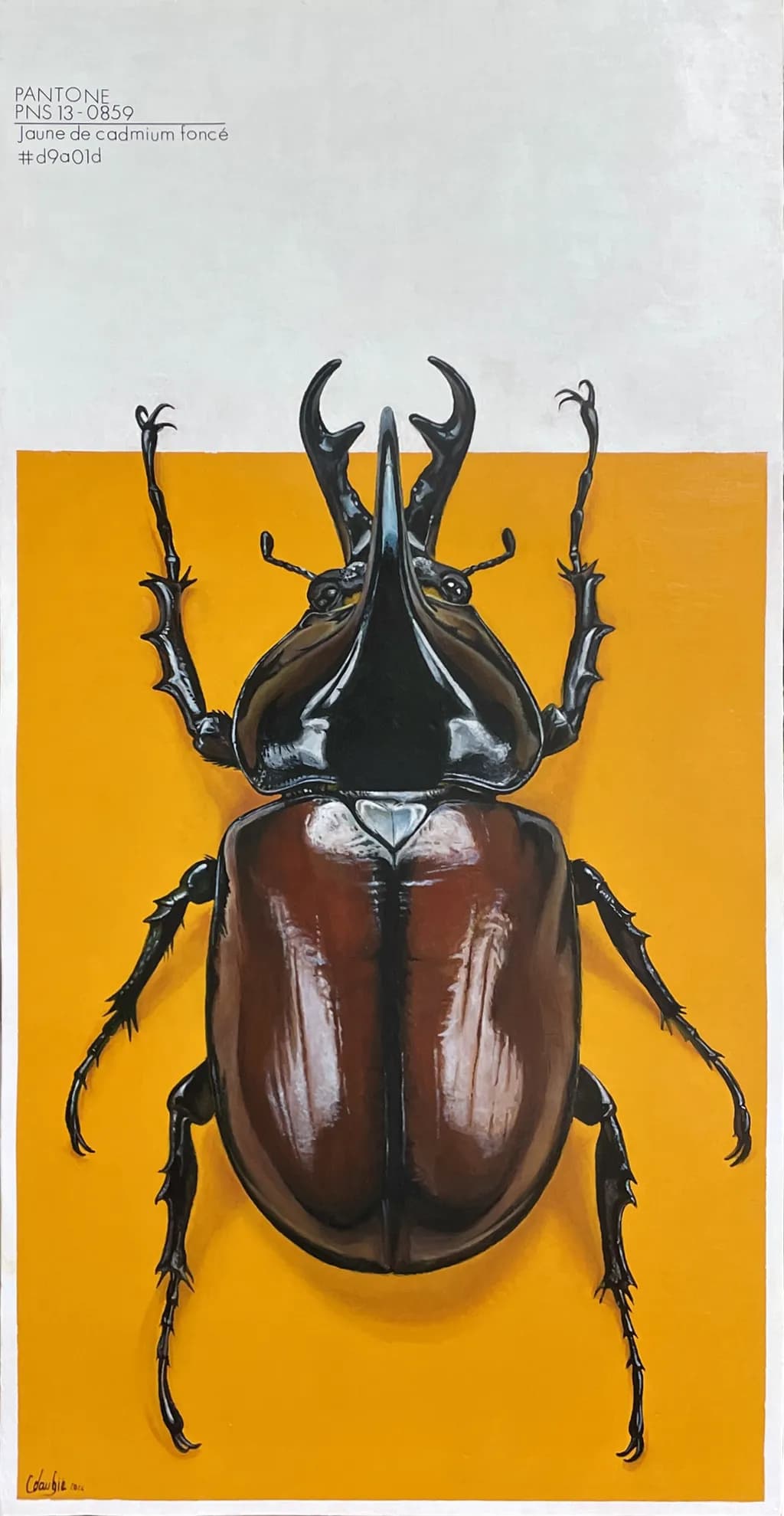 Big Bug
