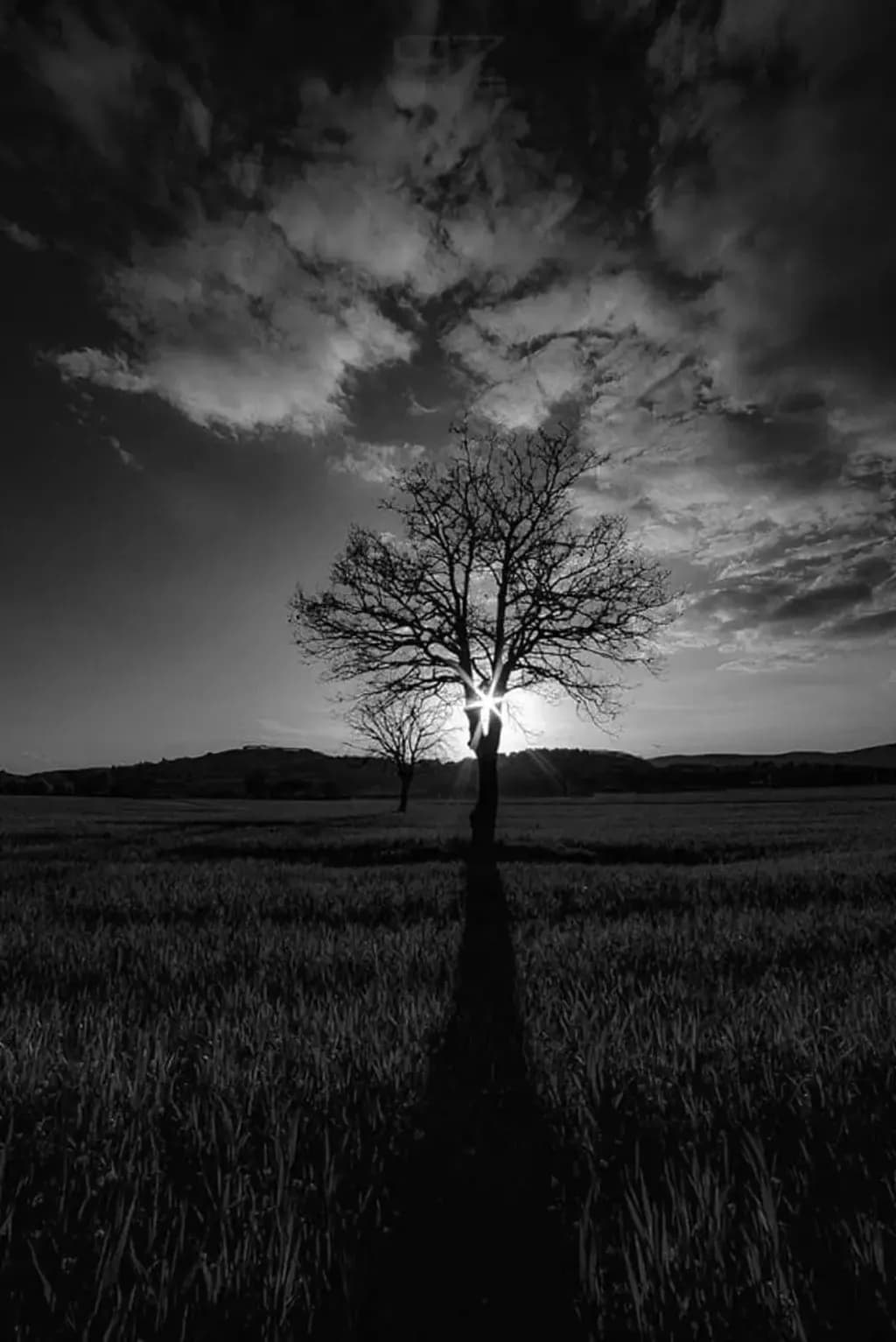 Shadowed Radiance