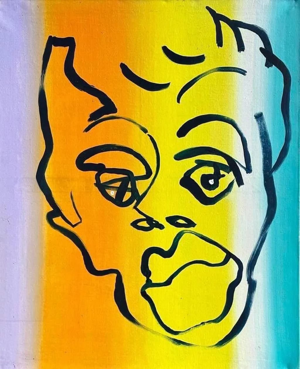 Colorful Contour Face