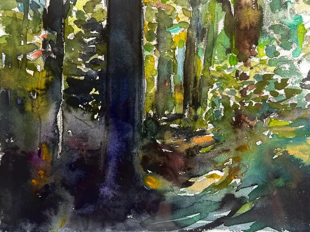 Forest Shadows