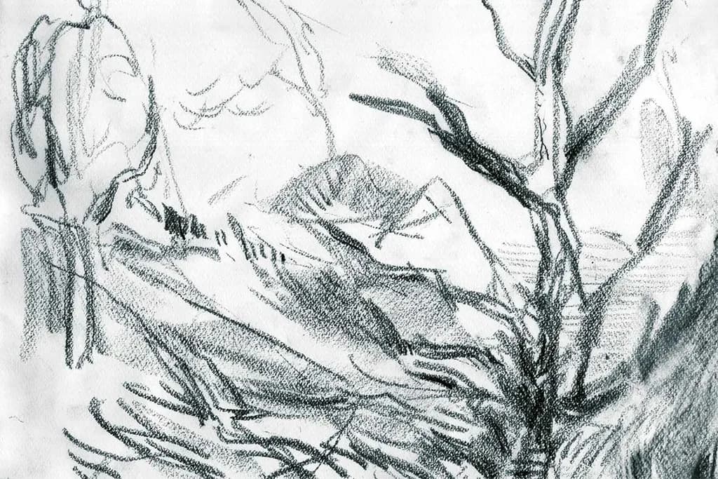 Tree Branches Sketch