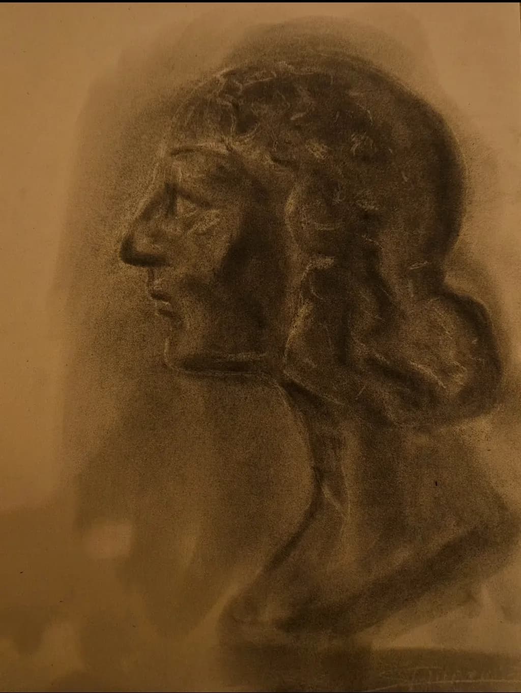 Shadowed Contemplation