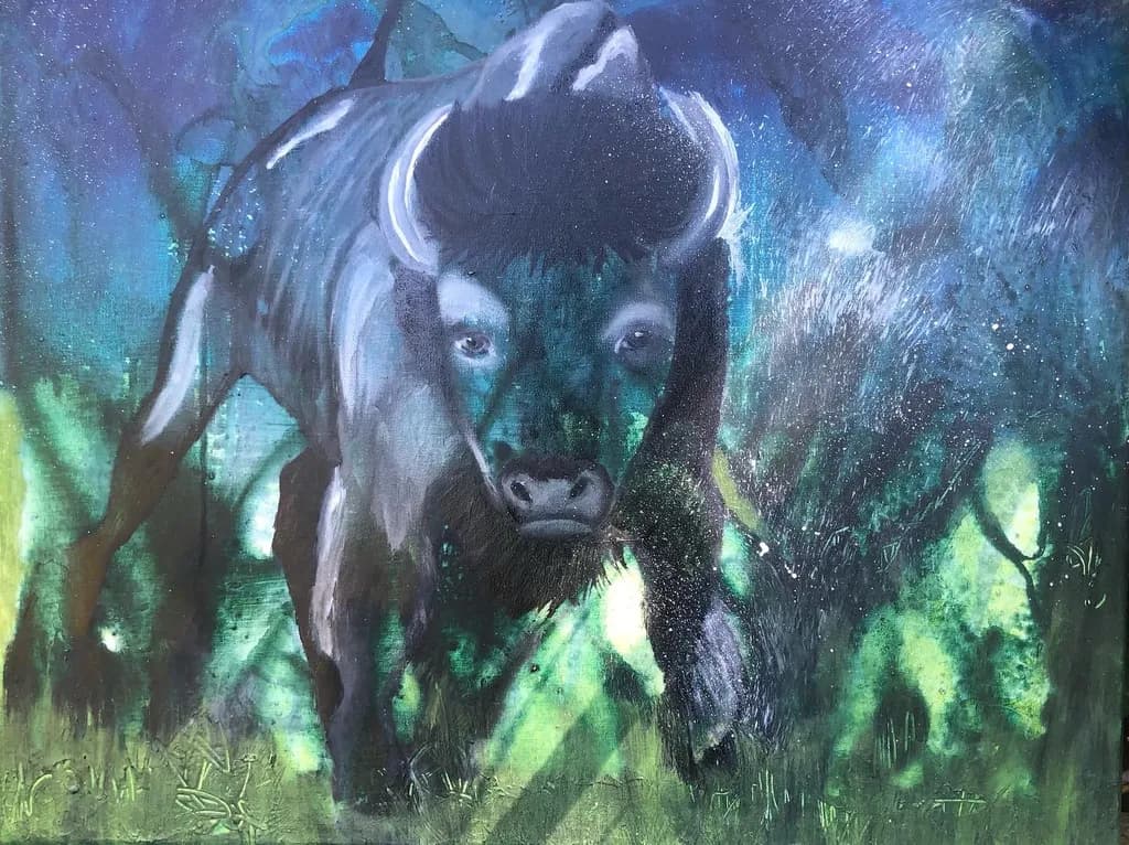 Midnight Buffalo
