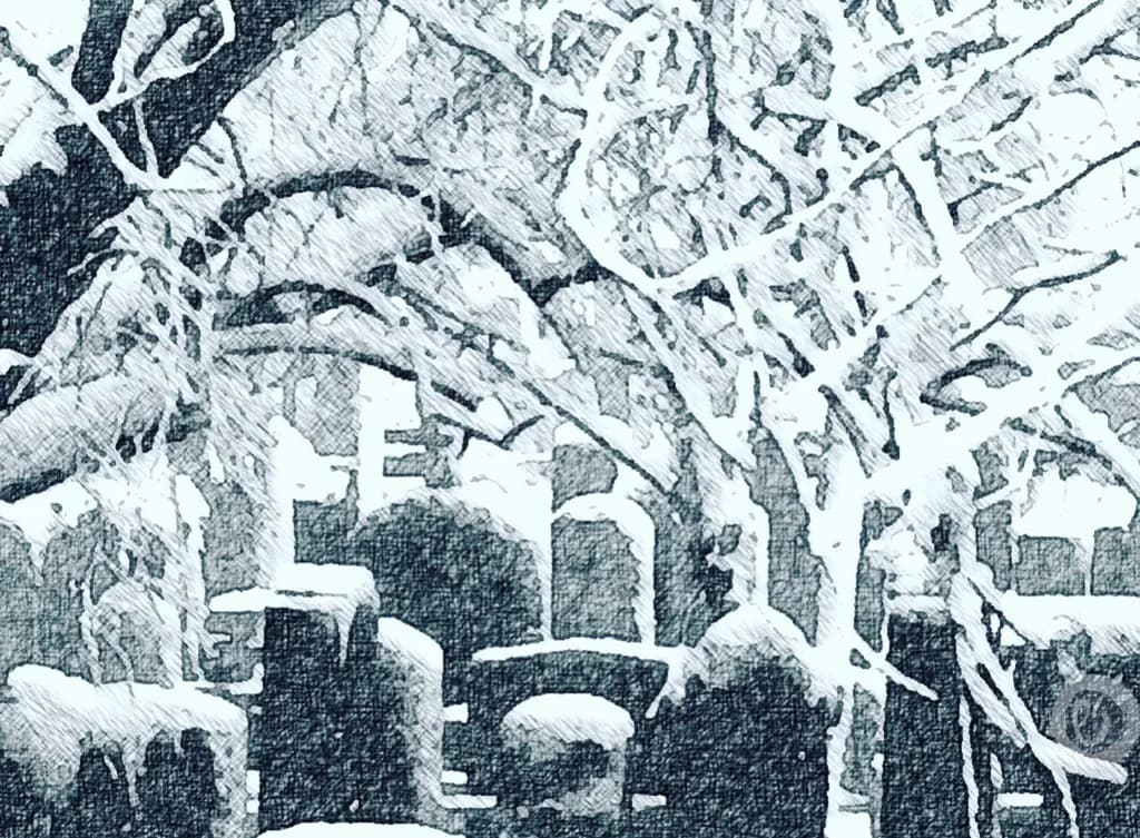 Frozen Shadows