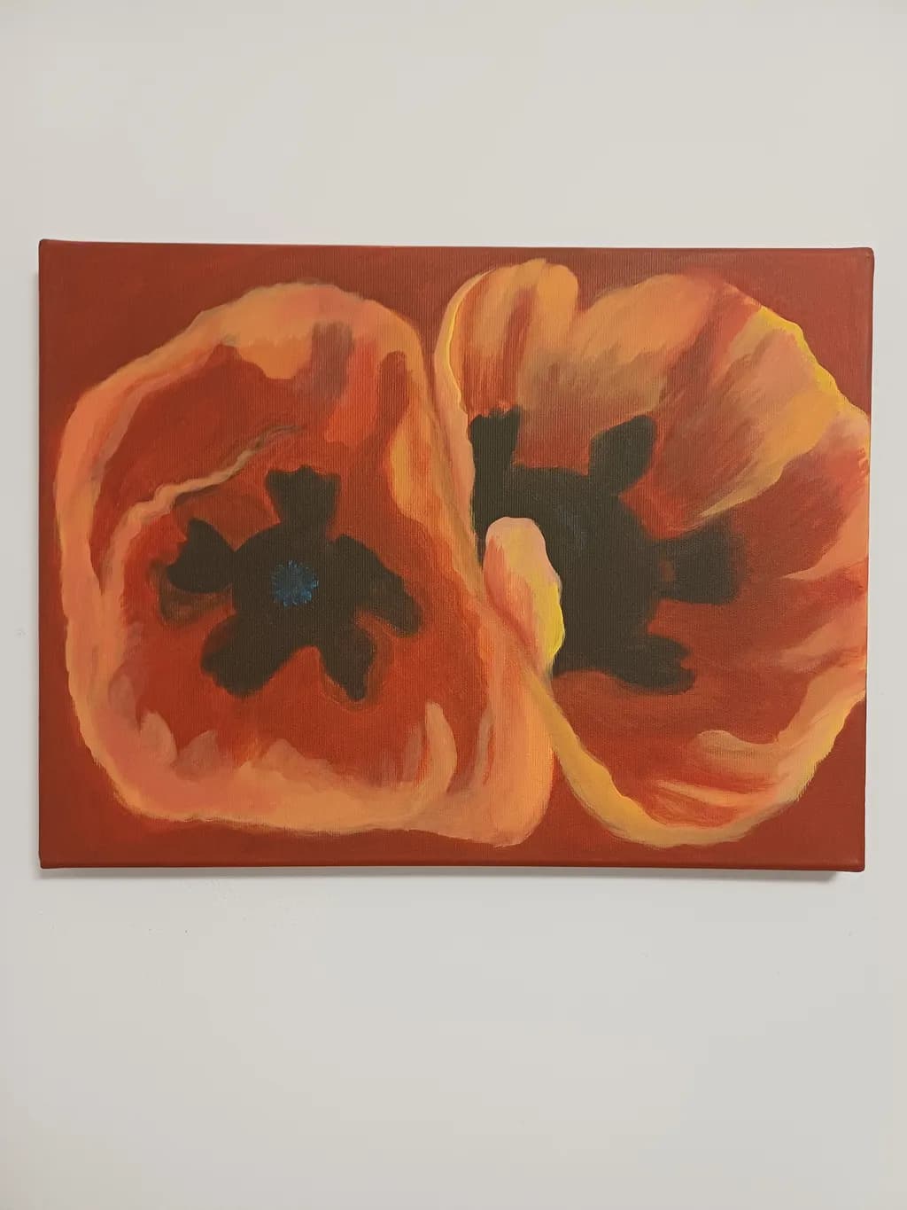 Orange Poppy Close-Up