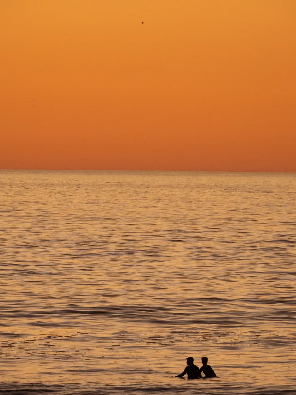 Amber Horizon
