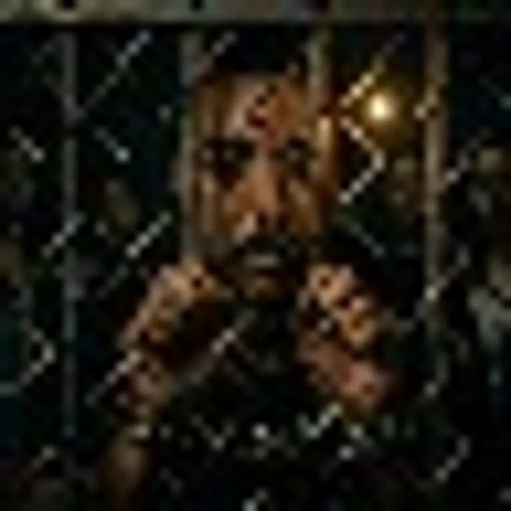 Behind Bars
