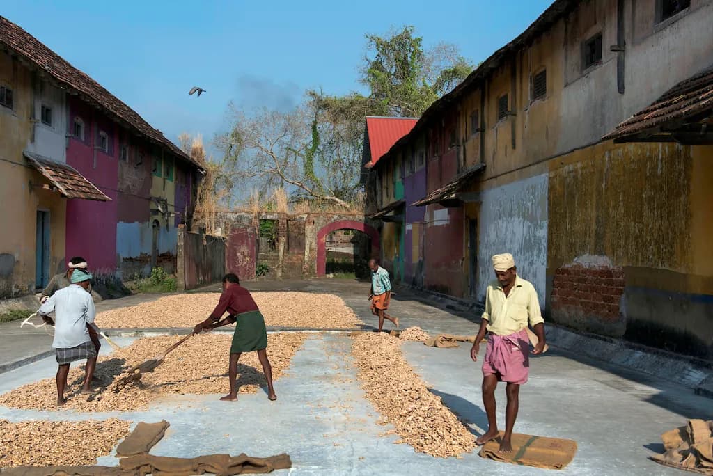 Fort Cochin Workers