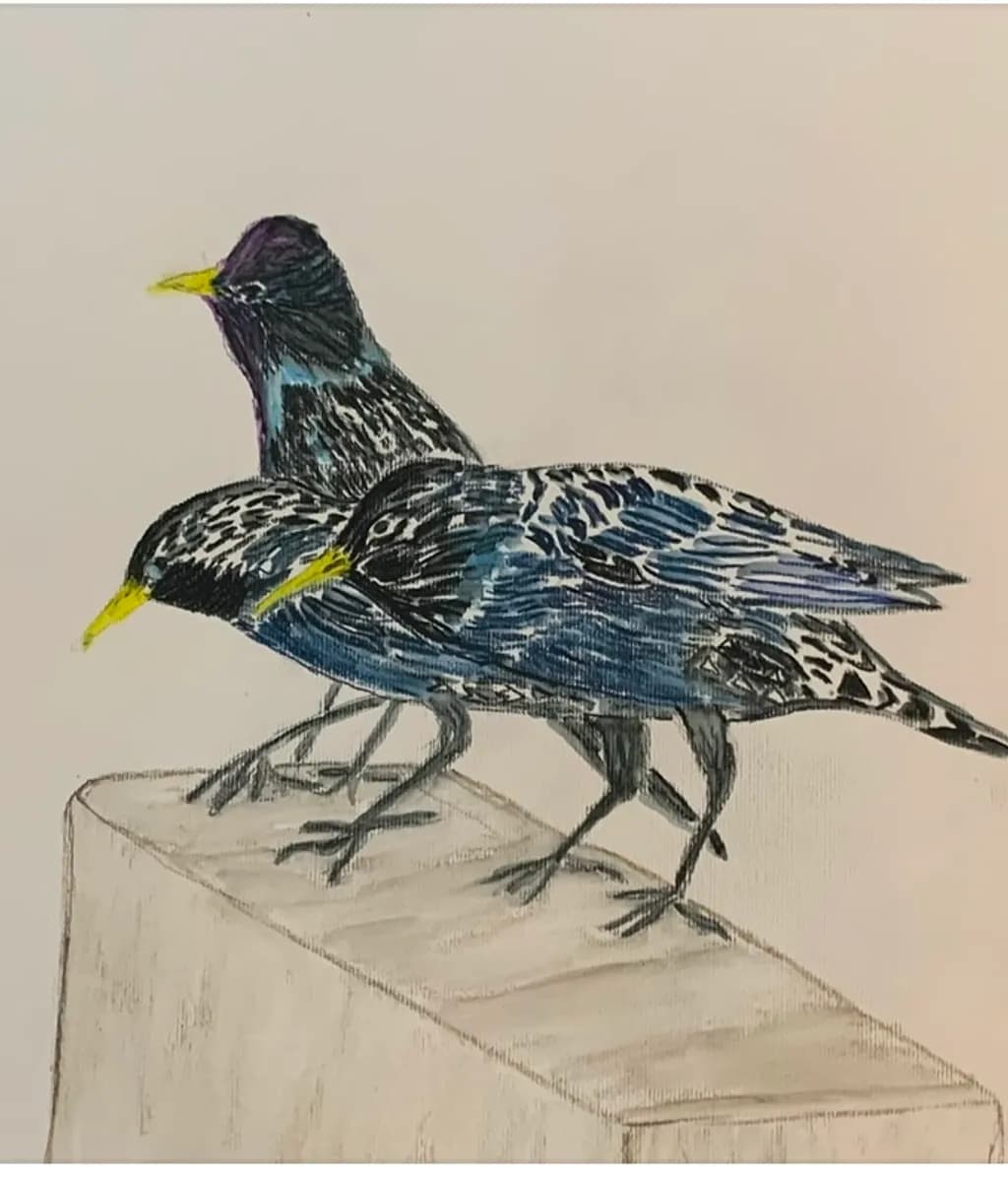 Three Starlings on Ledge