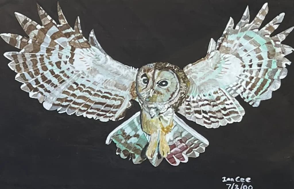 Owl in Flight