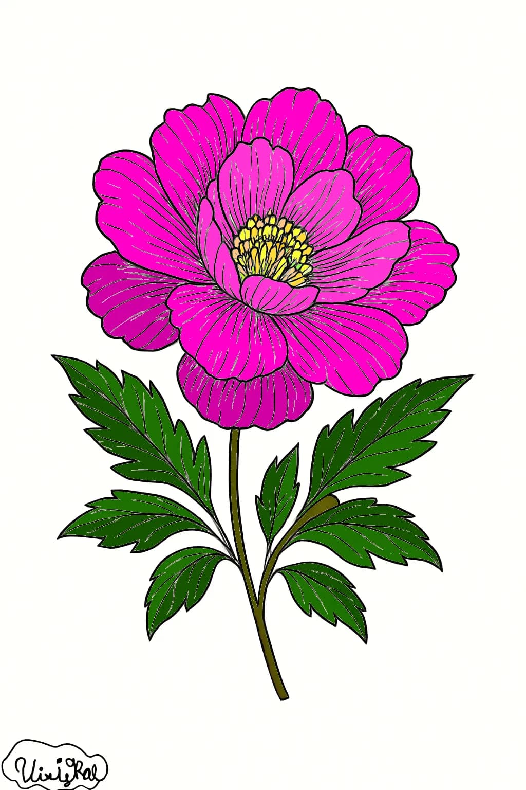 Pink Bloom