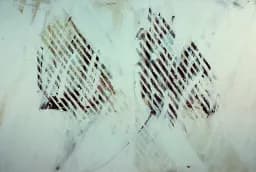 Veiled Echoes