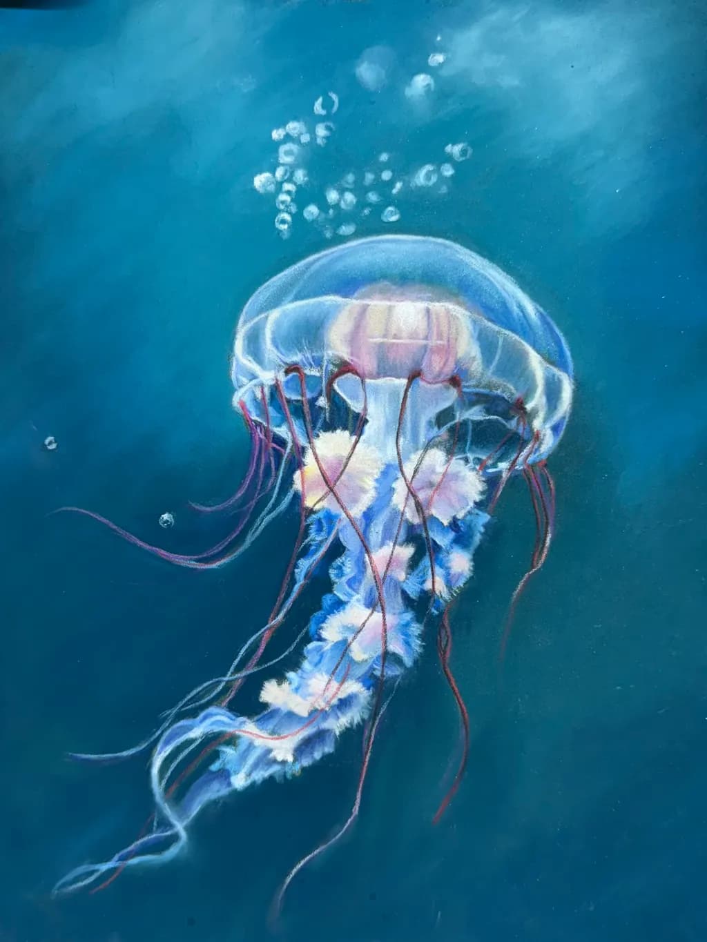 Glide of the Jellyfish