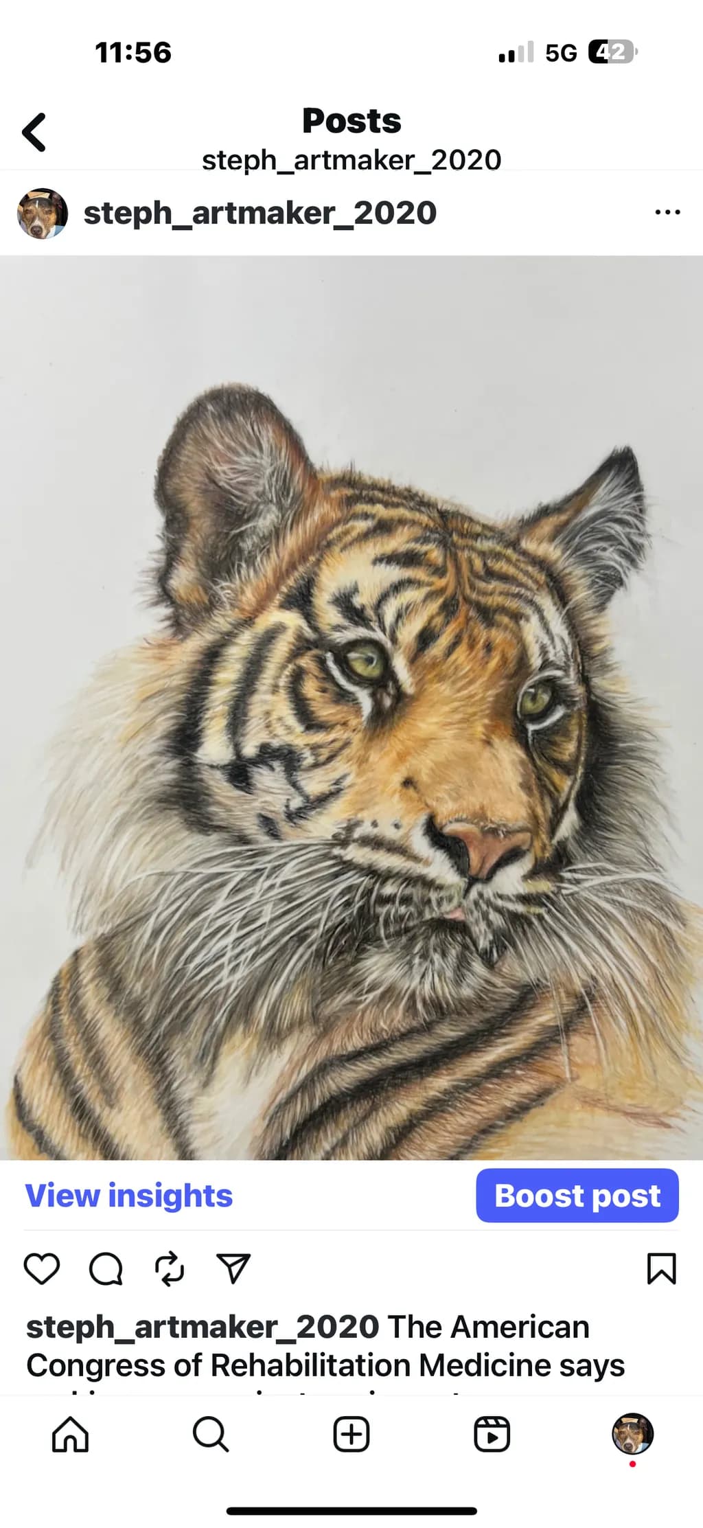 Tiger Gaze