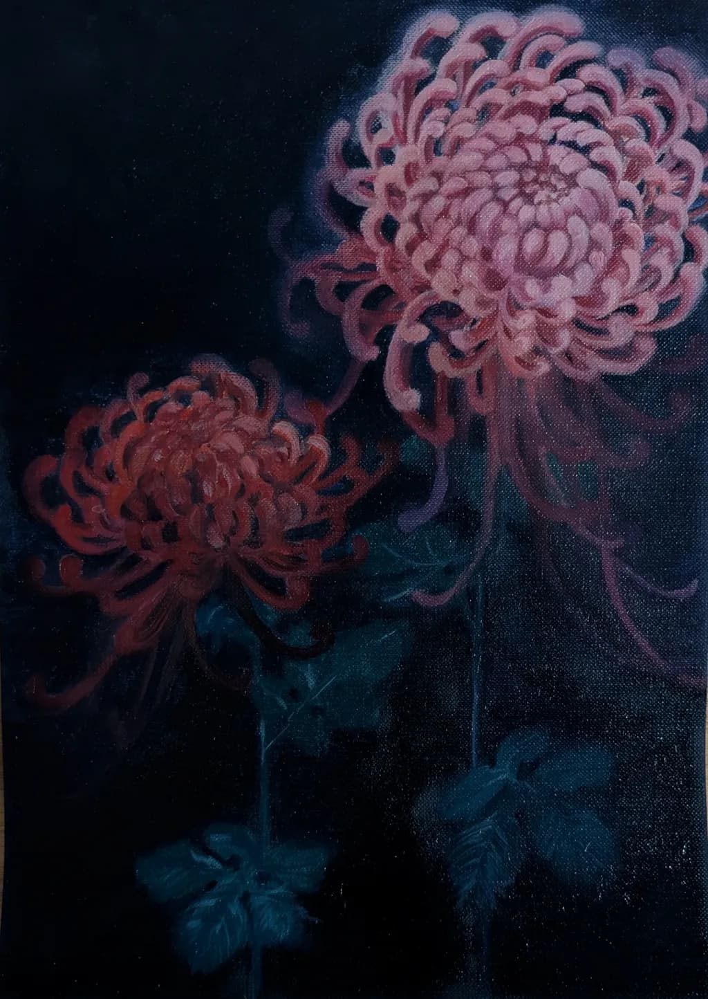 Midnight Chrysanthemums
