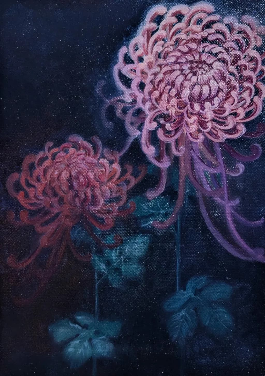 Midnight Bloom