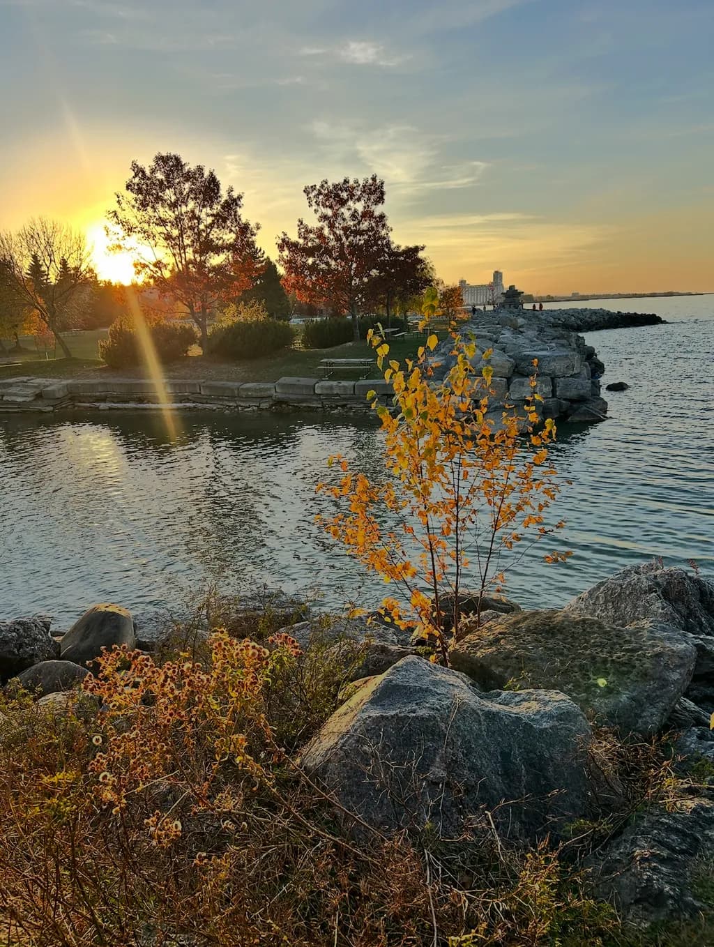 Golden Shoreline Transition