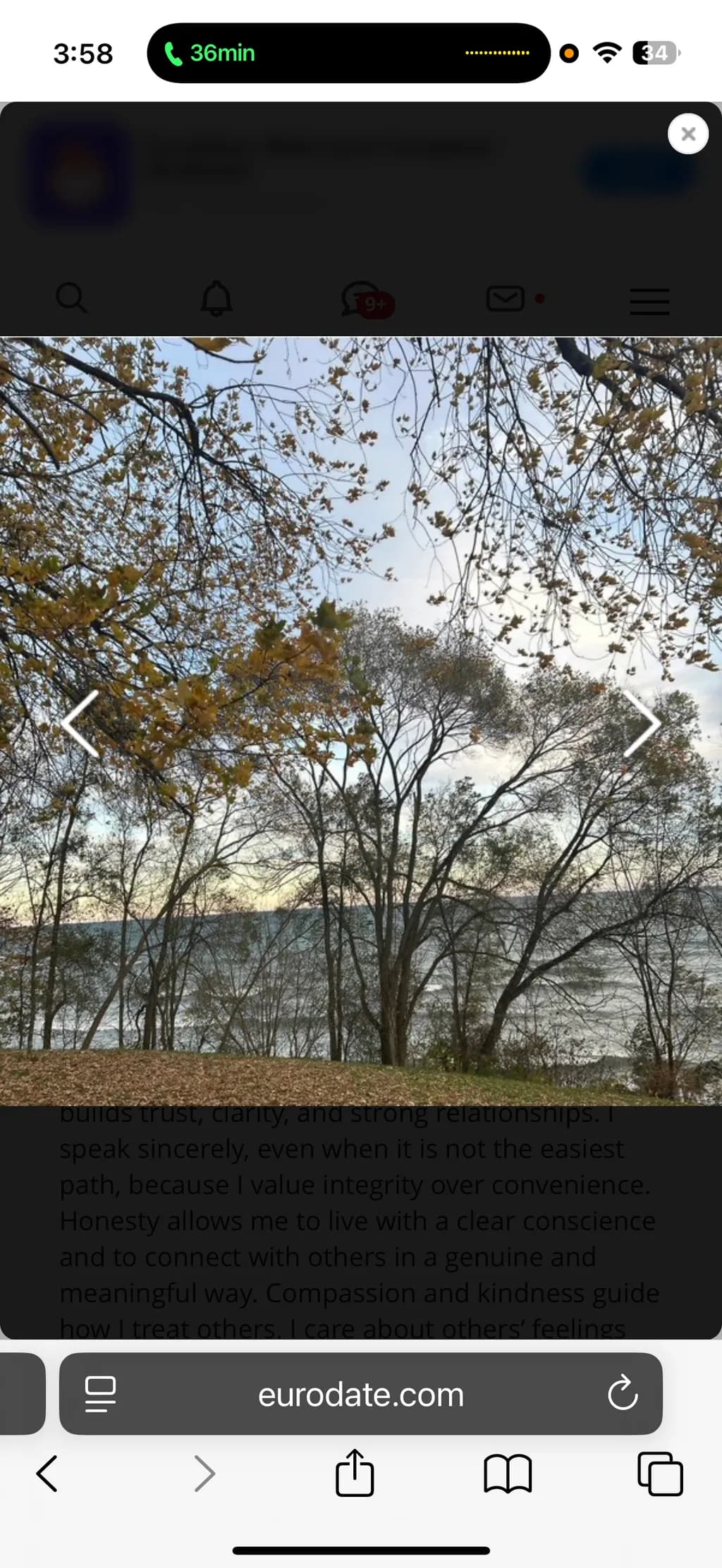 Autumn Shoreline