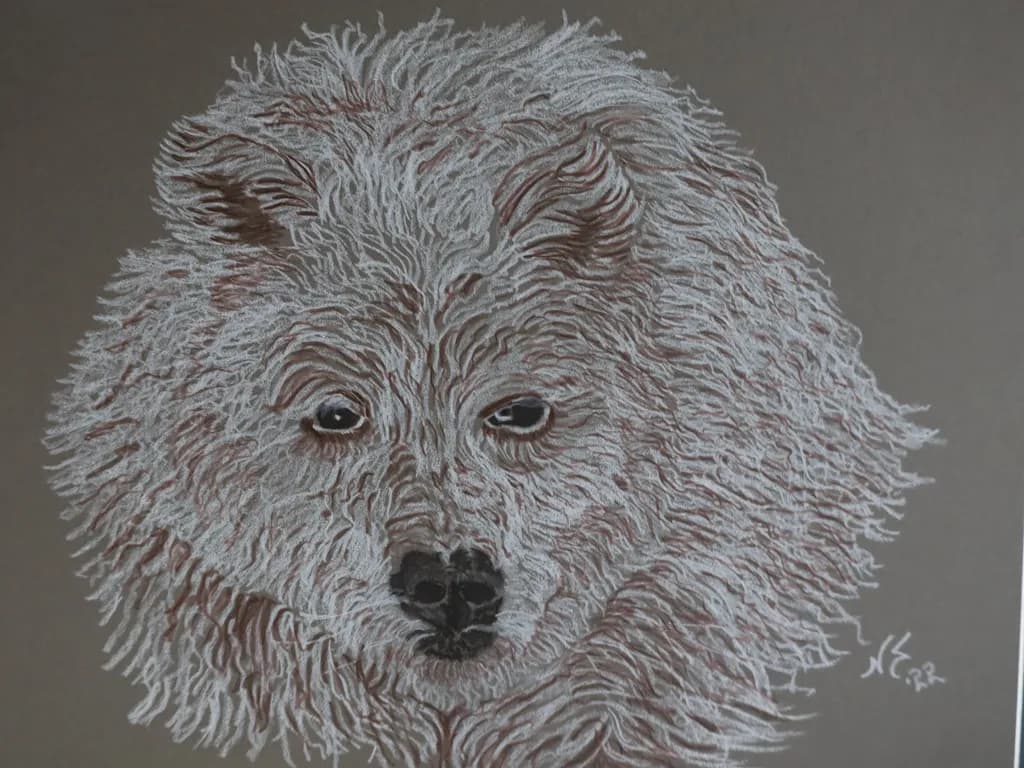 Textured Bear Portrait
