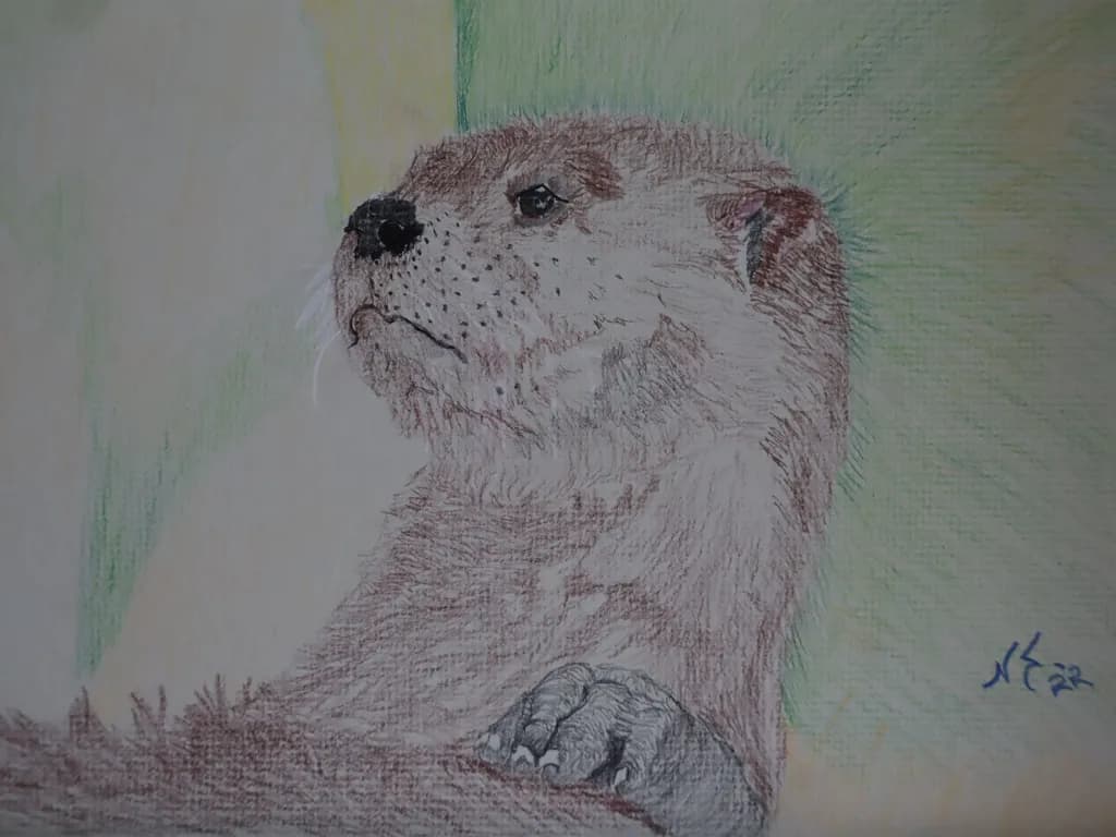 Pensive Otter