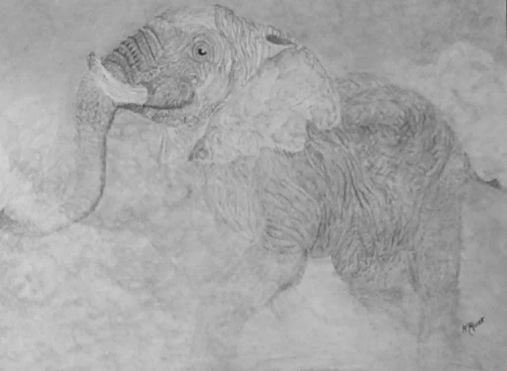 Elephant Outline