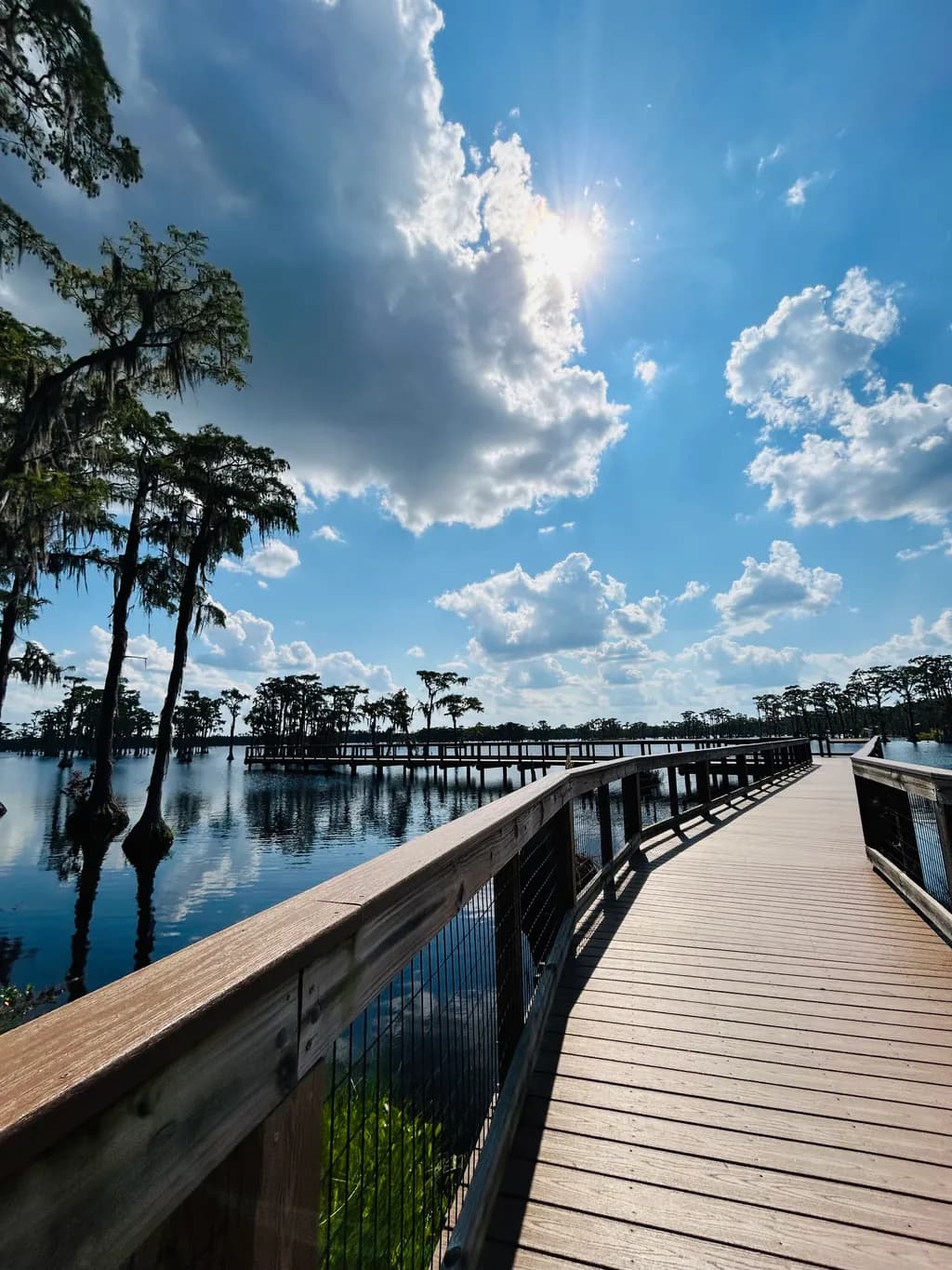 Bayou Boardwalk