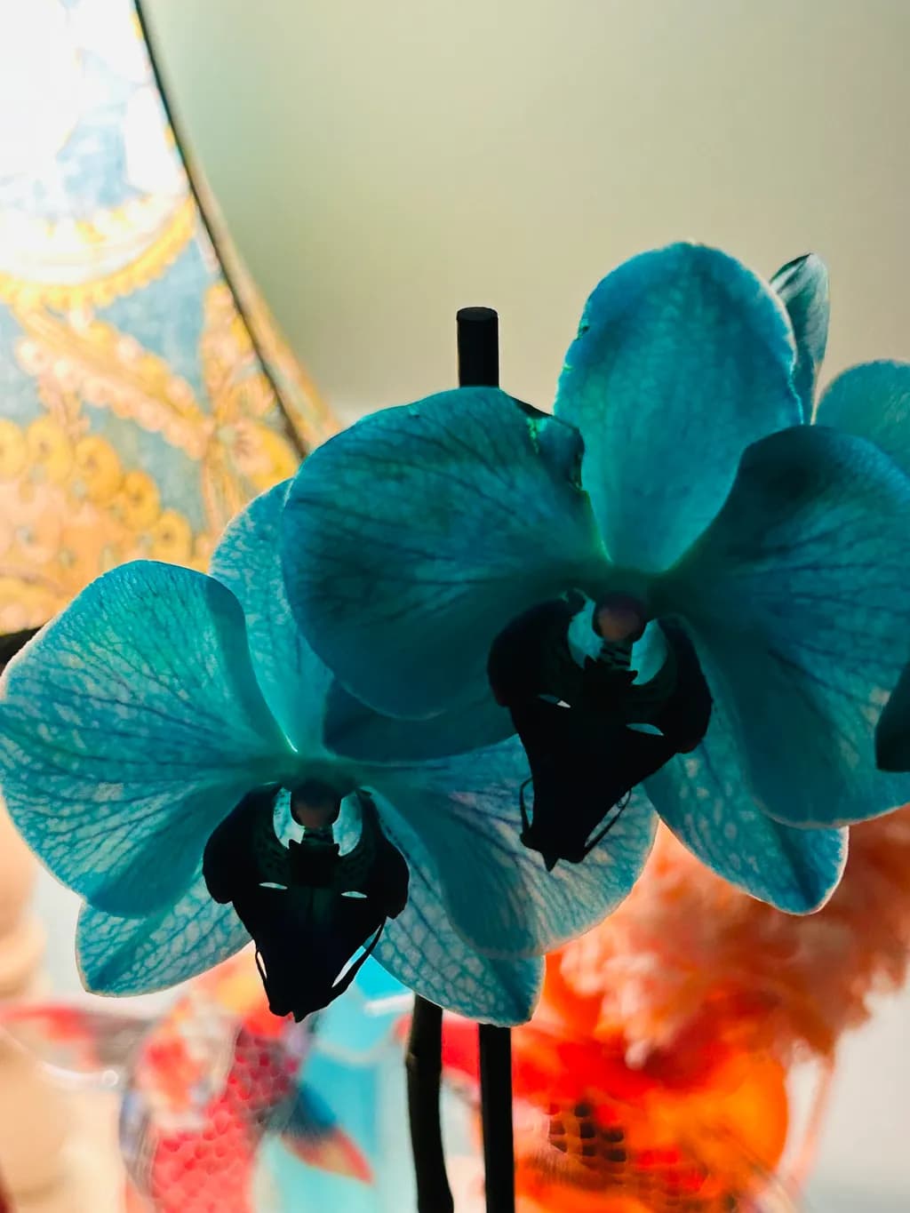 Turquoise Orchids
