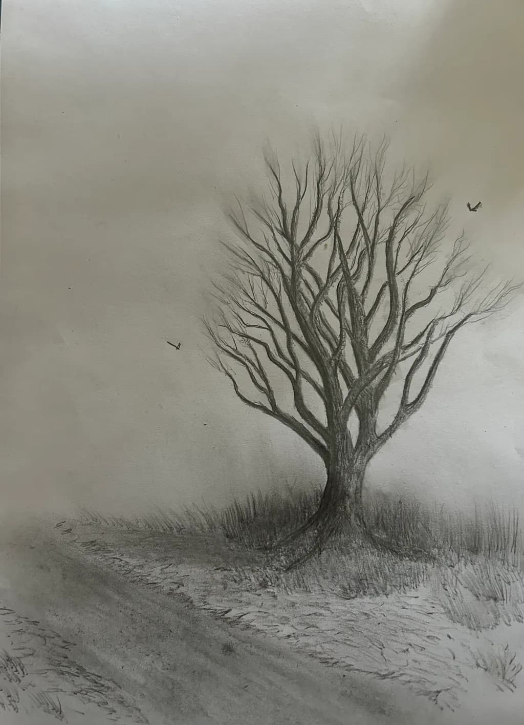 Winter Barren Tree