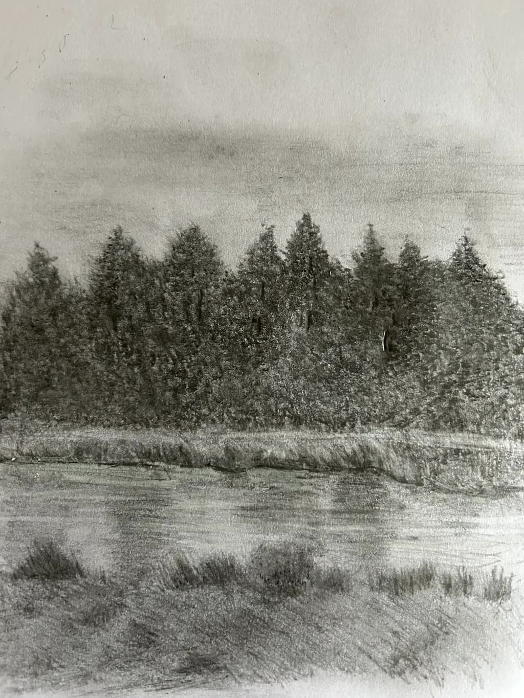 Forest Reflection