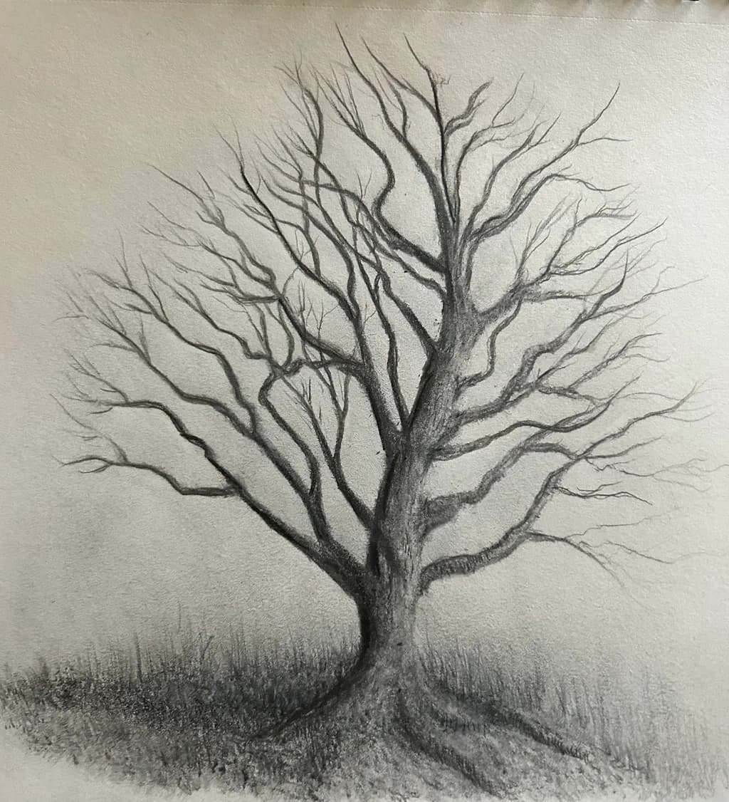 Twisted Branches