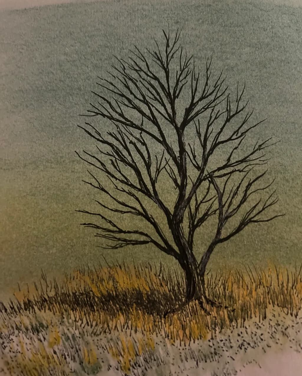 Winter Echo