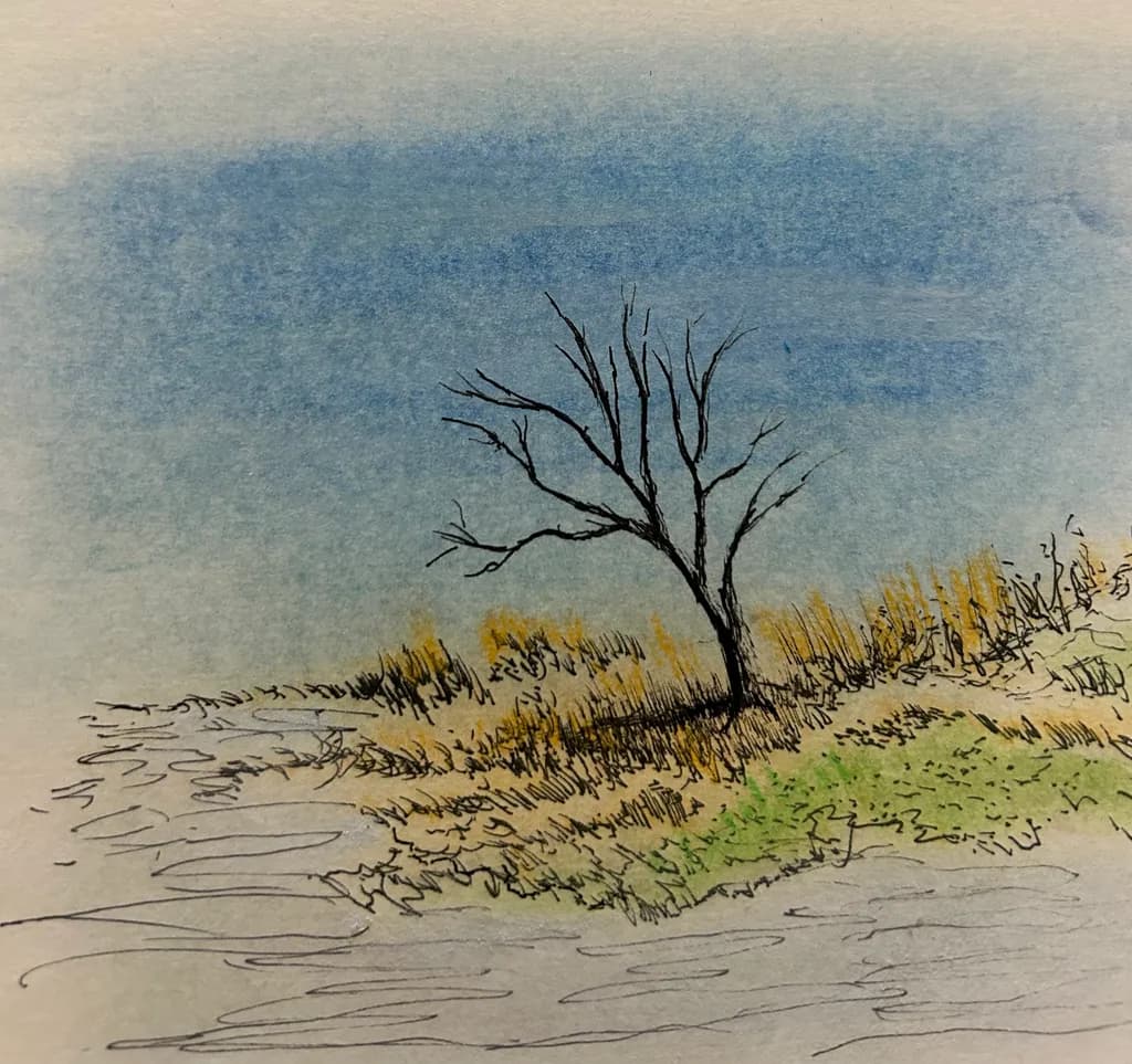 Solitary Branches