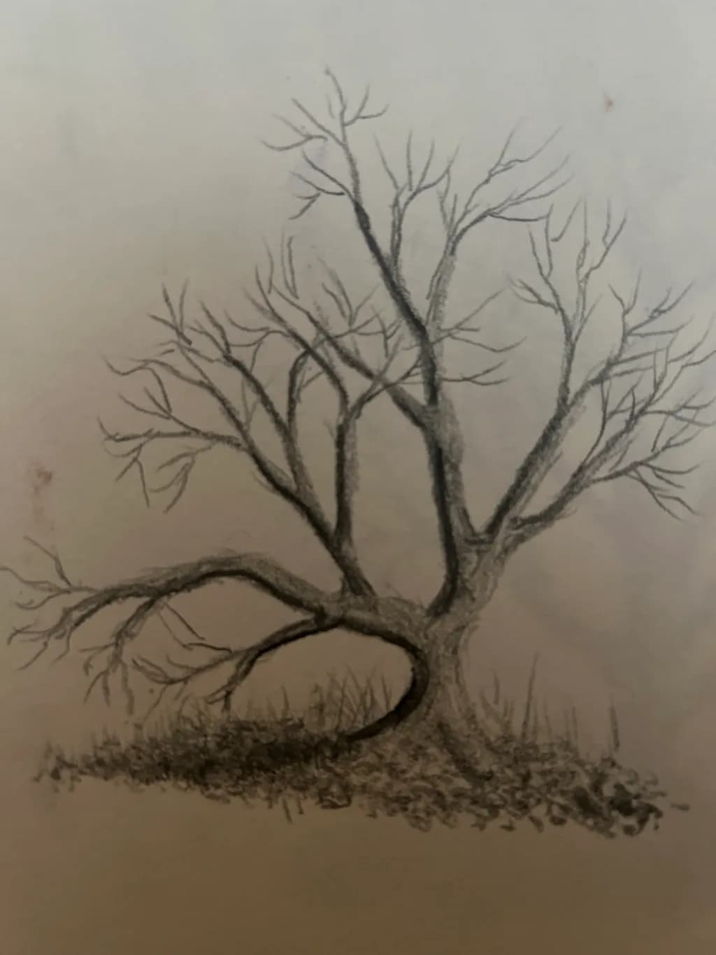 Barren Branches