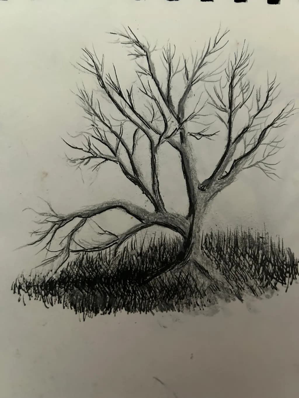 Twisted Branches