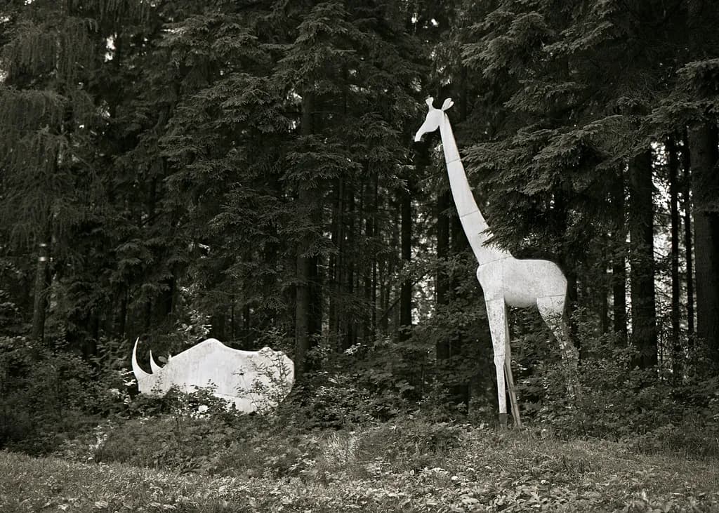 Forest Guardians