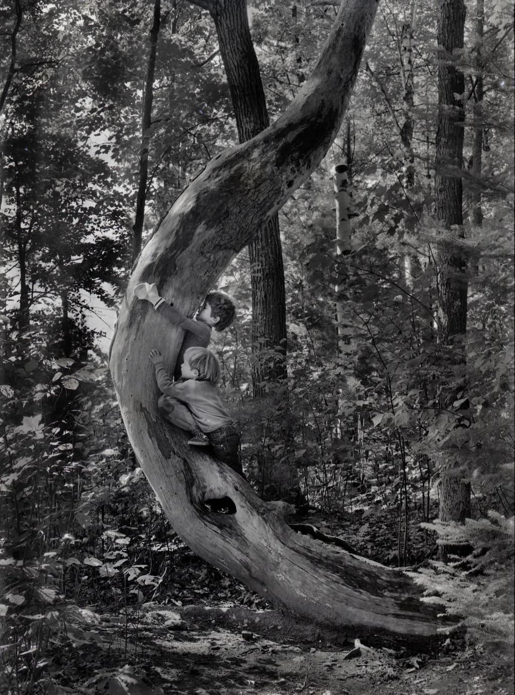 Curved Climb