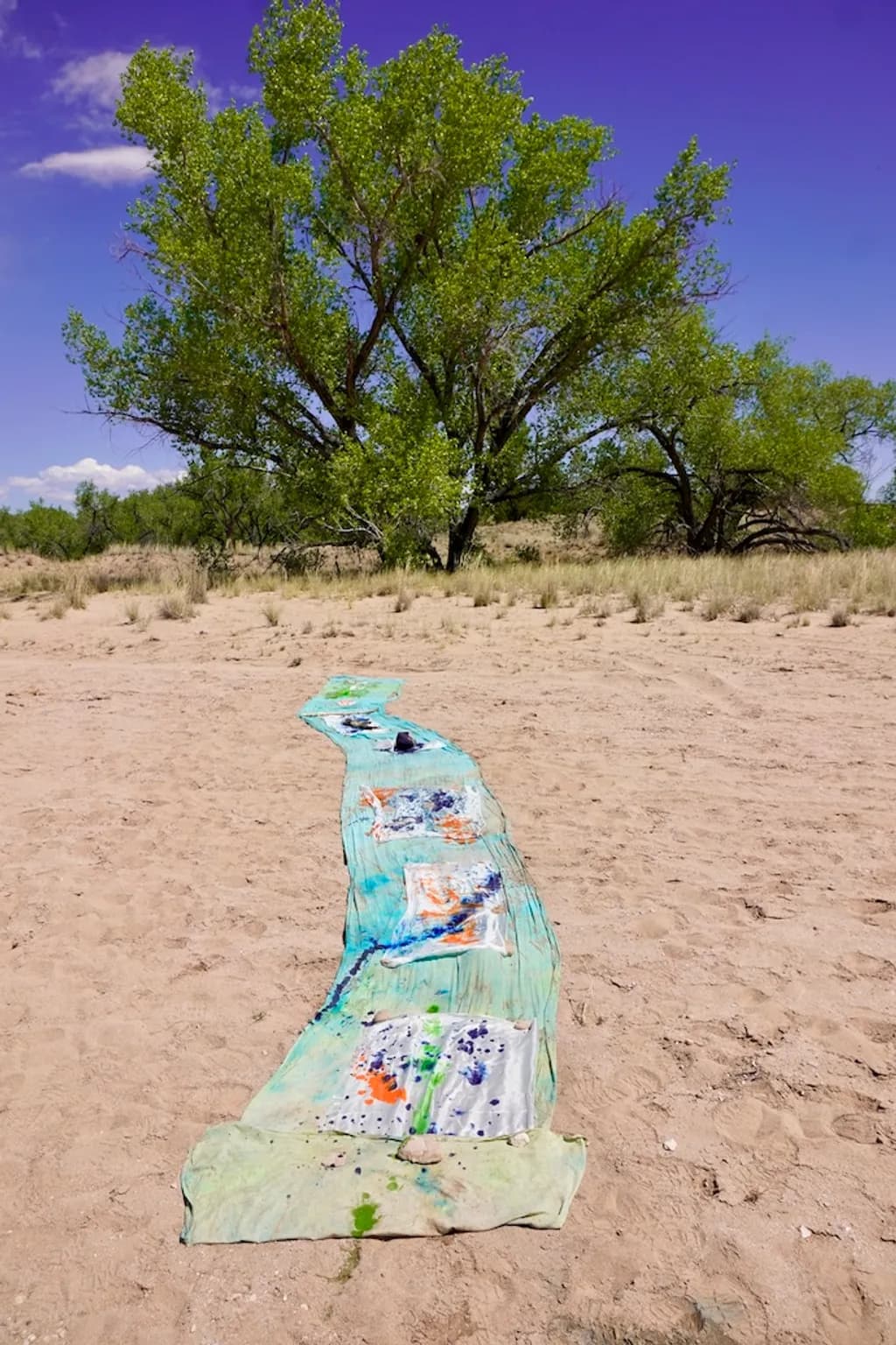 Desert Canvas Trail
